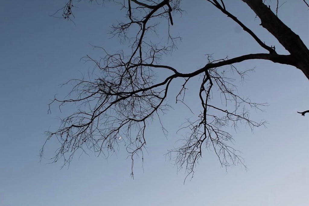 Valley Gurl Boo Haunted Series, Part 2: Is Griffith Park&nbsp;Haunted?